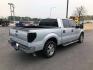 2013 Ford F-150 XLT SuperCrew 6.5-ft. Bed 2WD (1FTEW1CM5DF) with an 3.7L V6 DOHC 24V engine, 6-Speed Automatic transmission, located at 7710 Tara Blvd, Jonesboro, GA, 30236, (678) 450-1000, 33.544365, -84.367821 - Photo#7